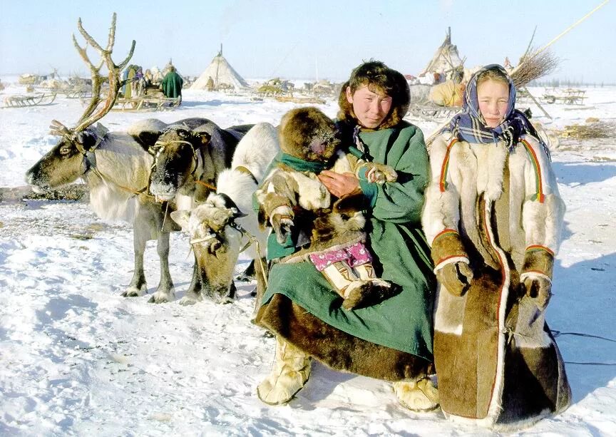 Жизнь на крайнем севере. Ханты, манси, Коми, селькупы, ненцы. Ненцы Ханты манси. (Ненцы, Ханты, манси, селькупы. Селькупы ненцы.