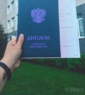 Дипломник университета