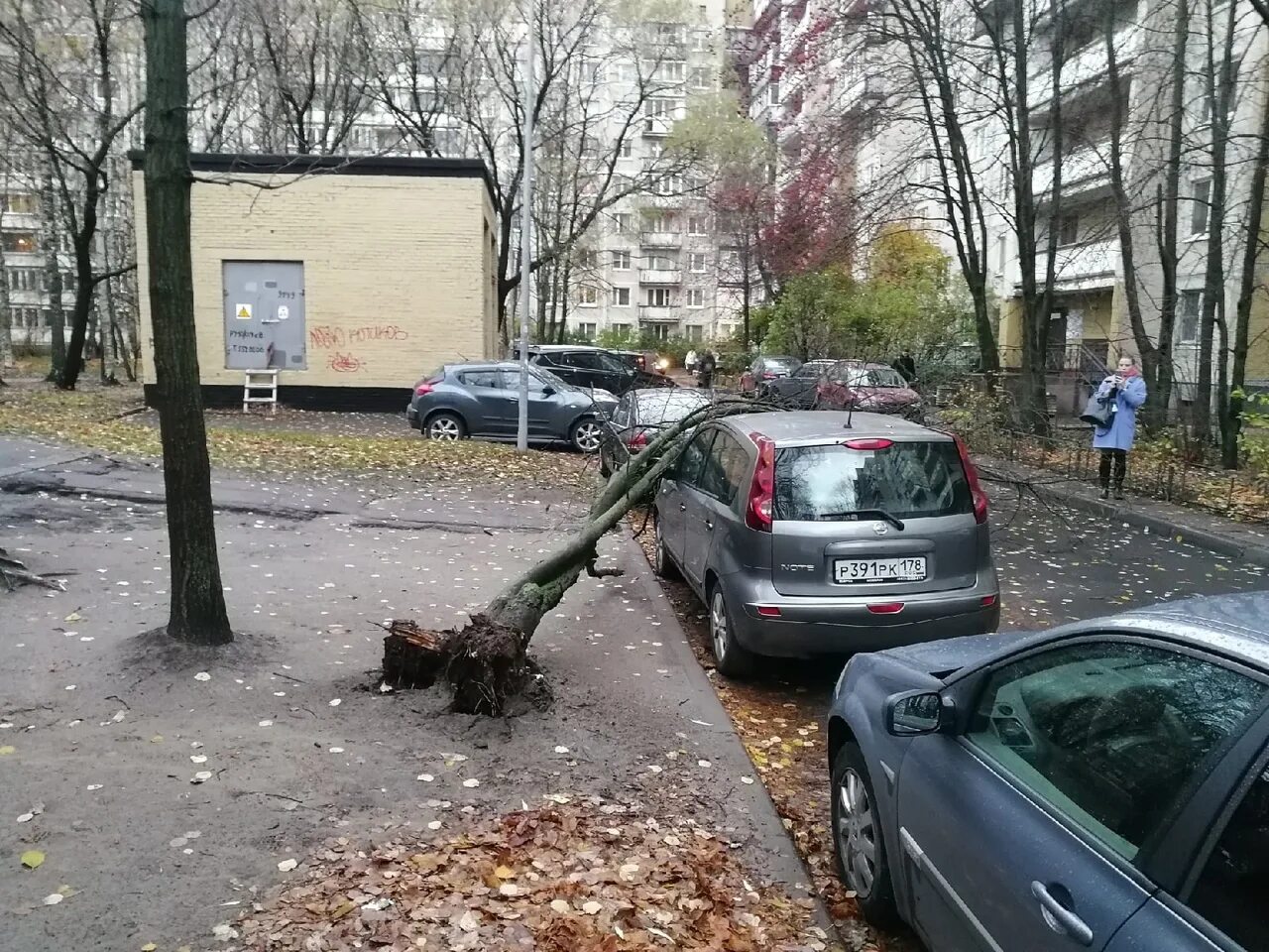 Сегодня был сильный. Повалило деревья в Санкт-Петербурге. Ураган в Санкт Петербурге. Ураган в СПБ сейчас. Сильный ветер в СПБ.