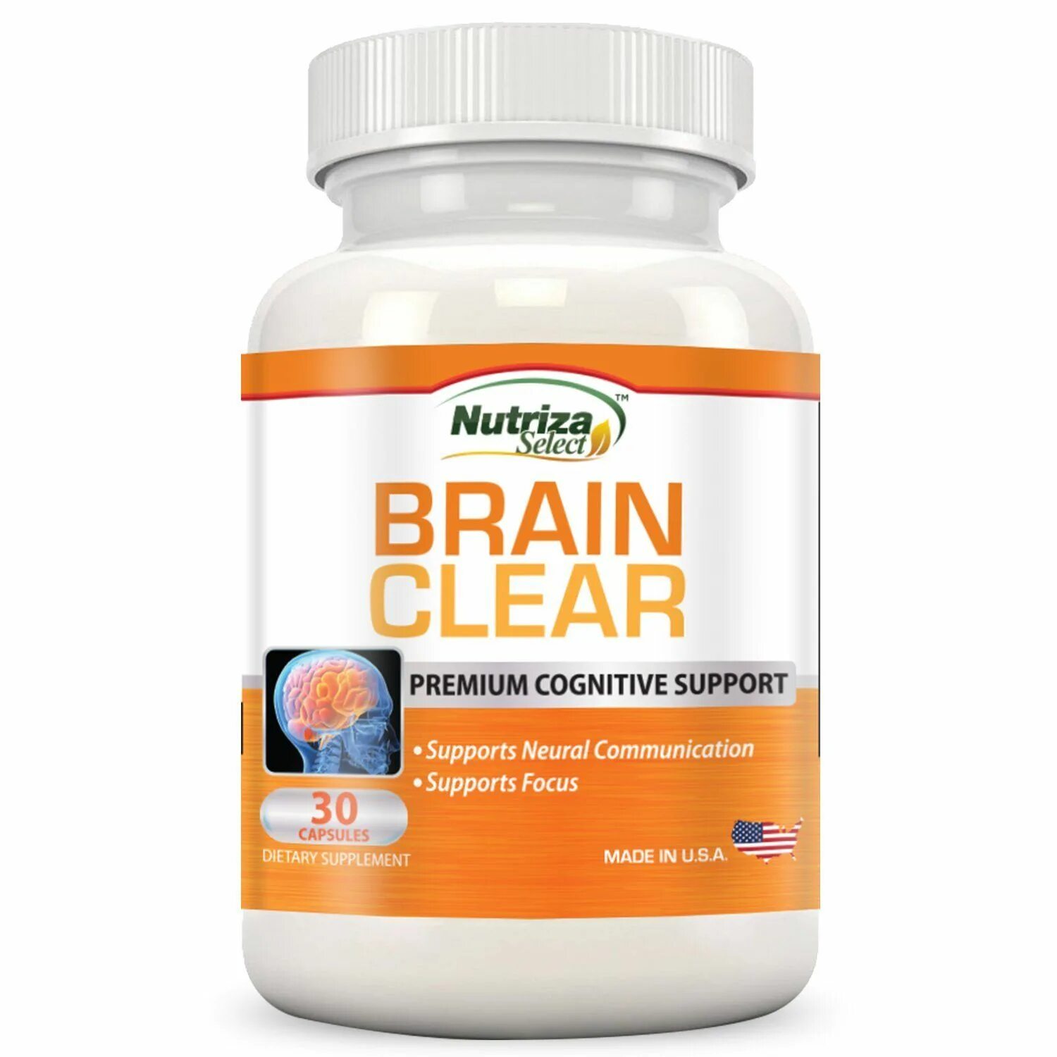 Brain support