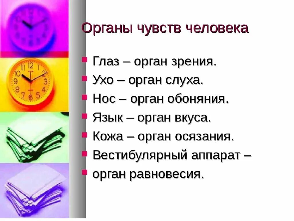 Название органов чувств. Органы чувств человека. Сколько органов чувств у человека. Перечислите органы чувств. Сколькочуств у человека.