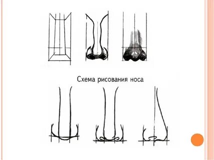 Конспект нос