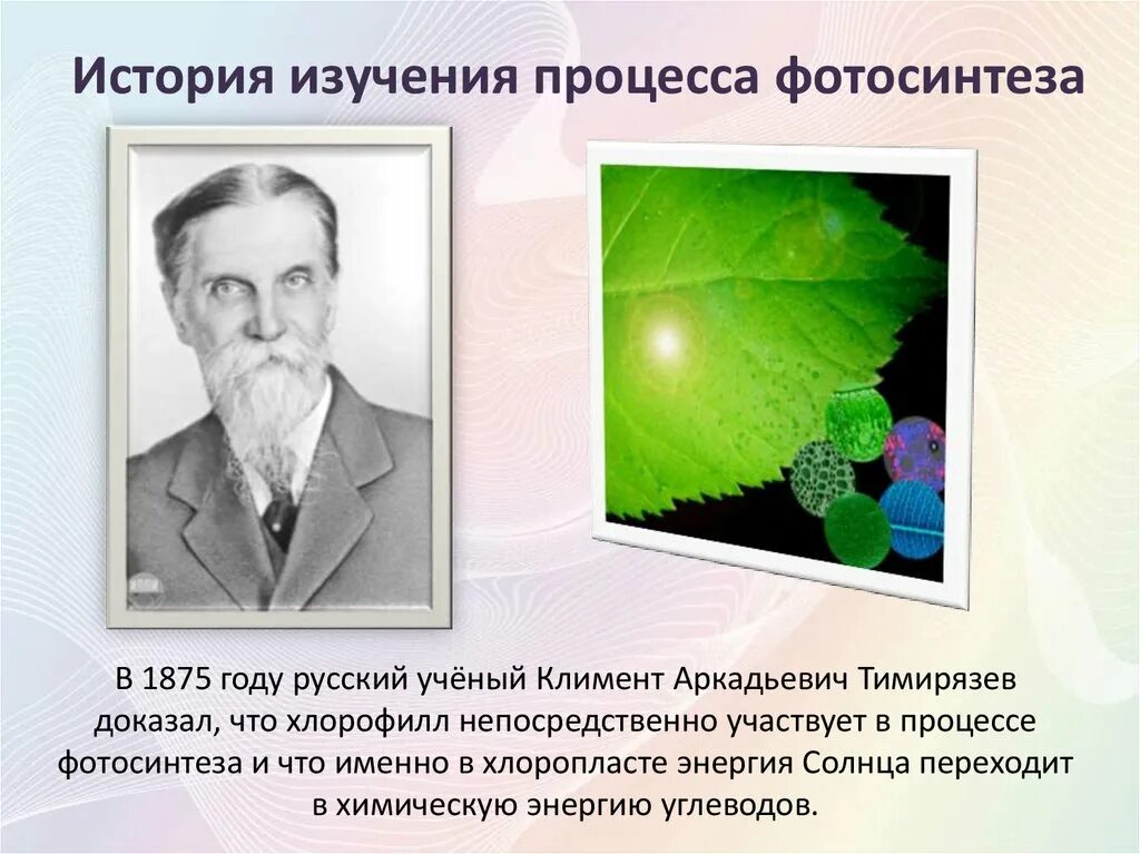 биология 9 класс фотосинтез клетки. знание какой науки изучает фотосинтез. знание какой науки изучает фотосинтез. фотосинтез это в биологии. фотосинтез растений 6 класс.