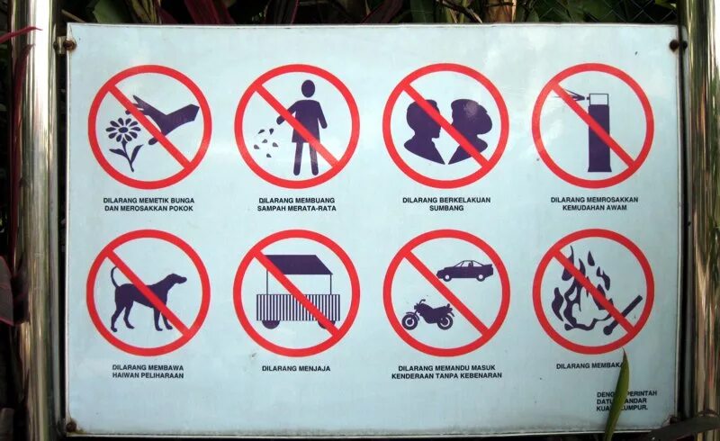 Что нельзя делать в парке
