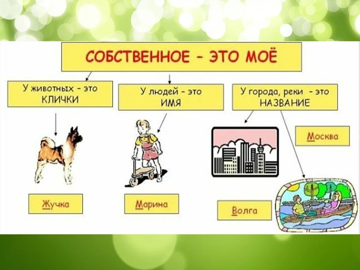 Имена собственные. Имена собственные 1 класс. Что такое имена собственные в русском языке 1 класс. Что такое имя собственное в русском языке. Нарицательные слова примеры