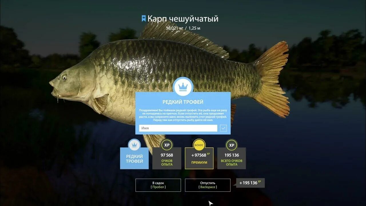 Карп зеркальный трофей. Карп зеркальный рр4 комариное. Трофейные карпы рр4. Карп зеркальный призрак. Карп чешуйчатый.