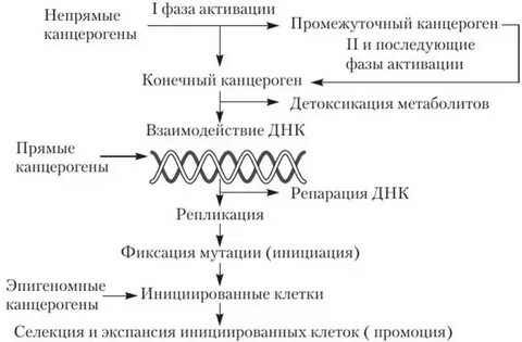 Механизм действия химического действия