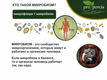 Микробиом норма