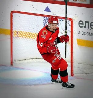 Волк автомобилист