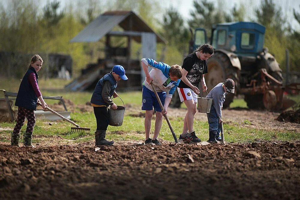 труд в огороде. школьники на субботнике. сажать цветы. труд людей региона. фото труд людей на даче.
