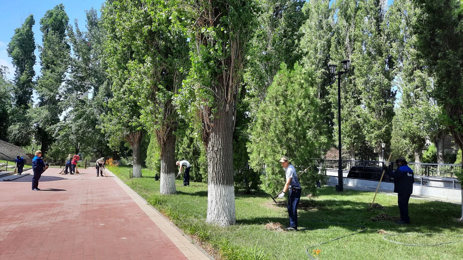 Https ktzn volgograd ru. Волгоград летом. Места для подростков в Волгограде. Летние места. Летняя занятость подростков.