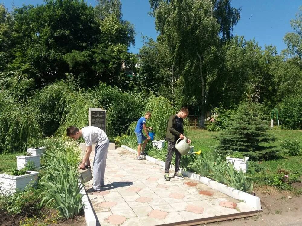 Центр занятости населения богородицк. Центр занятости населения богородицк