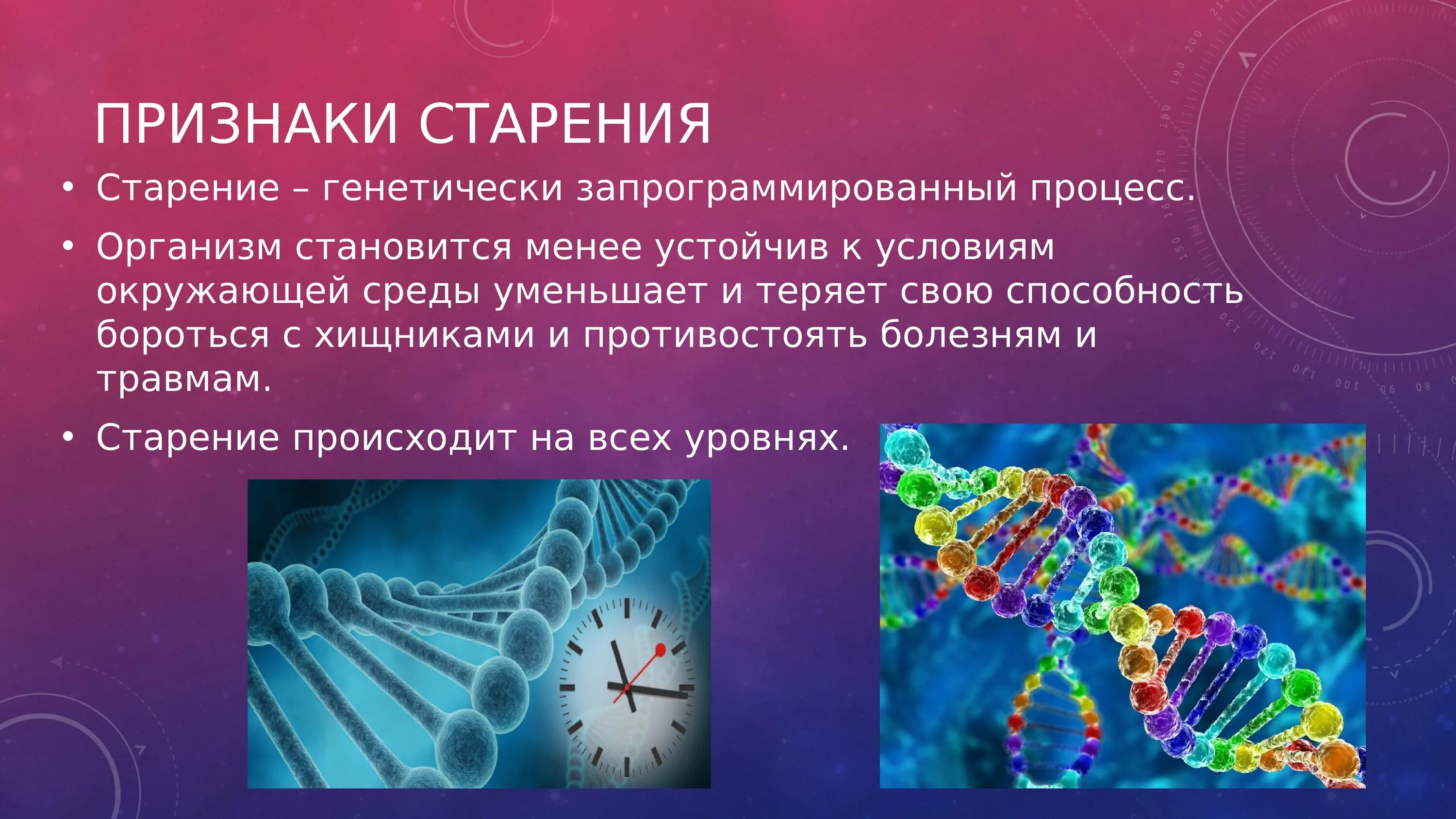 Процесс старения 5 букв. Старение на молекулярном и клеточном уровнях. Старение на уровне молекулярном клеточном и организменном уровне. Генетика старения презентация. Теории старения молекулярные клеточные и организменные.