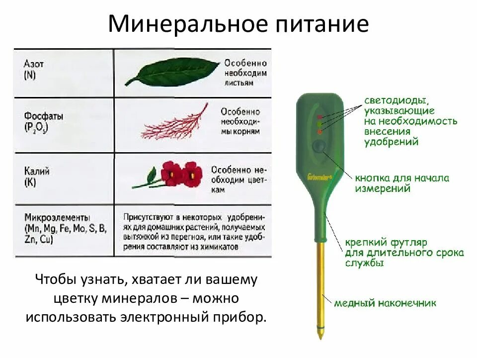 Минеральное питание растений 6 класс биология таблица. Минеральное питание растений таблица. Минеральное питание растений удобрения 6 класс биология. Минеральное питание растений схема. Конспект по воде биология 6 класс