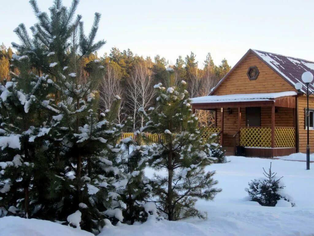 акватория сосновка. акватория заводоуковский район. акватория заводоуковский район. база акватория тюмень. сосновка заводоуковского района.