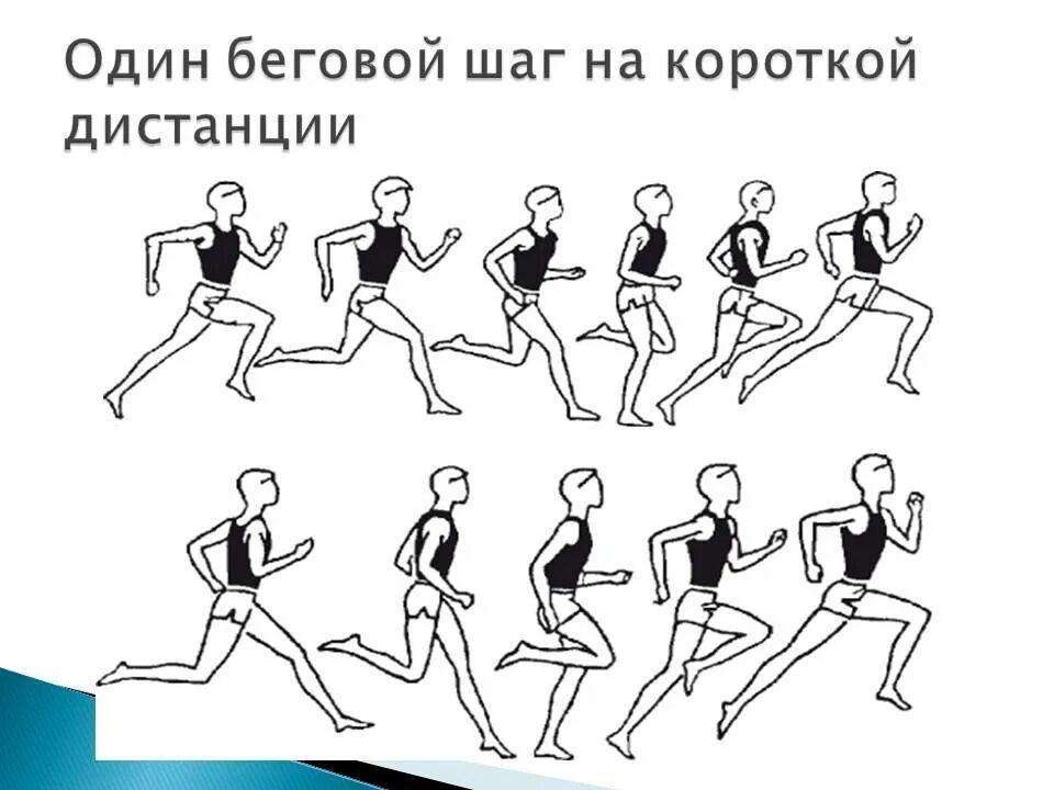 Бег команды этапами. Дистанции бега на короткие дистанции. Техника бега на короткие. Техники бега на короткие дистанции. Бег на короткие дистанции схема.