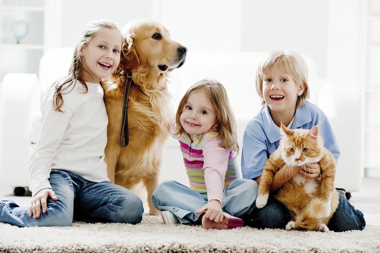 Having pets at home. Для детей. Животные. Собака для детей. Люди с домашними животными. Домашние питомцы для детей.