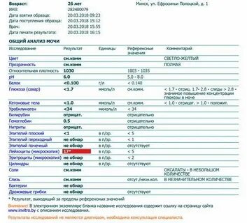 Анализы чтоб проверить почки