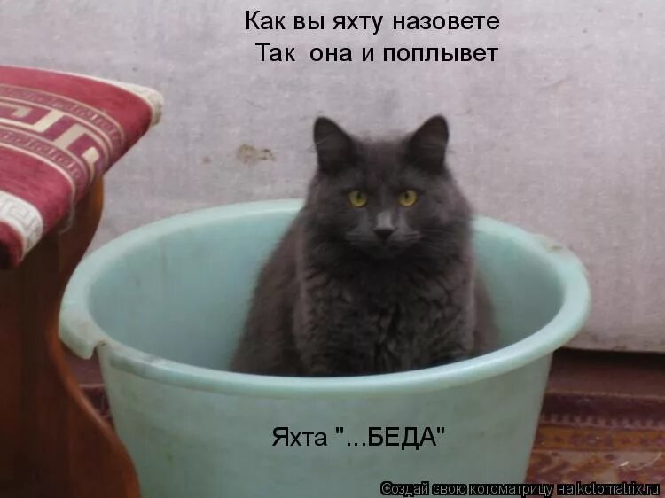 Как яхту назовешь так она и поплывет. Как вы яхту назовёте так она. как вы яхту назовете так она и поплывет. как корабль назовешь так и поплывет.