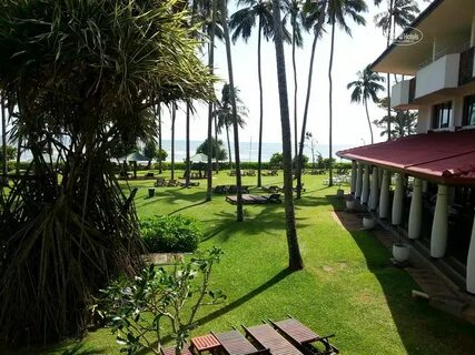 Hibiscus beach hotel 4 шри ланка