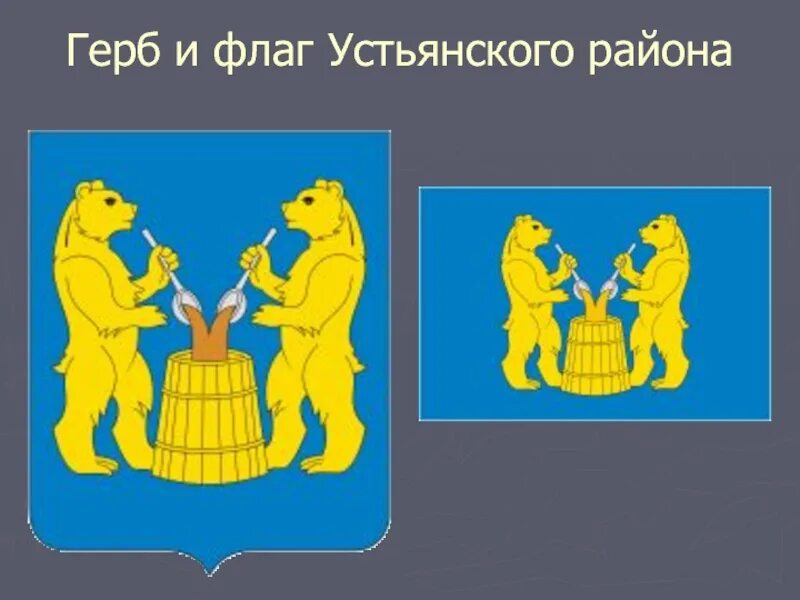 Герб и флаг Устьянского района Архангельской области. Флаг Устьянского района. Герб Устьянского района гербы районов Архангельской области.