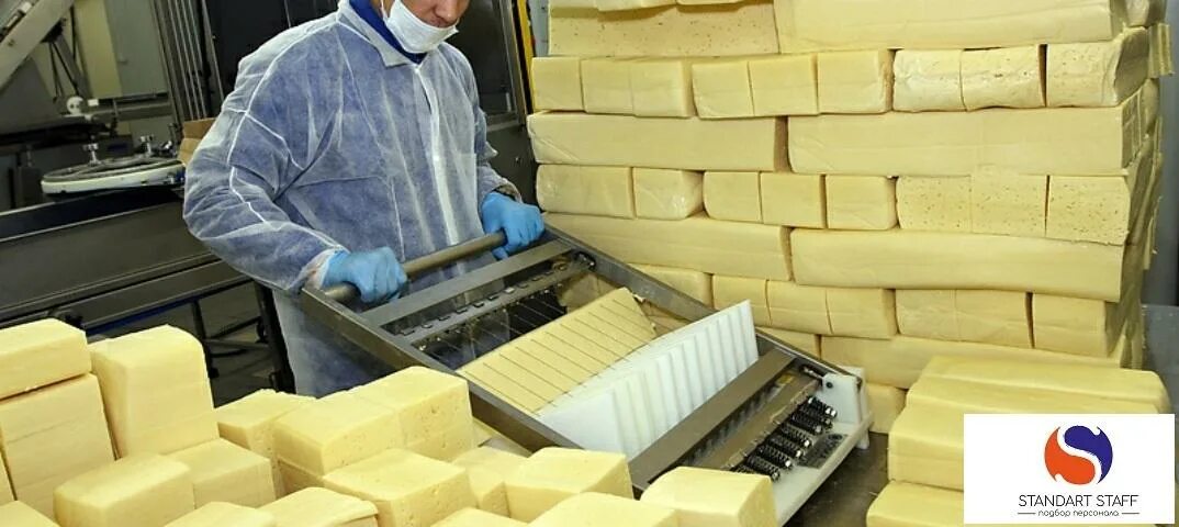 Фасовщик сыра. Фасовщица сыров. Укладчик упаковщик сыра. Сыры в упаковке. Упаковщик сыра.
