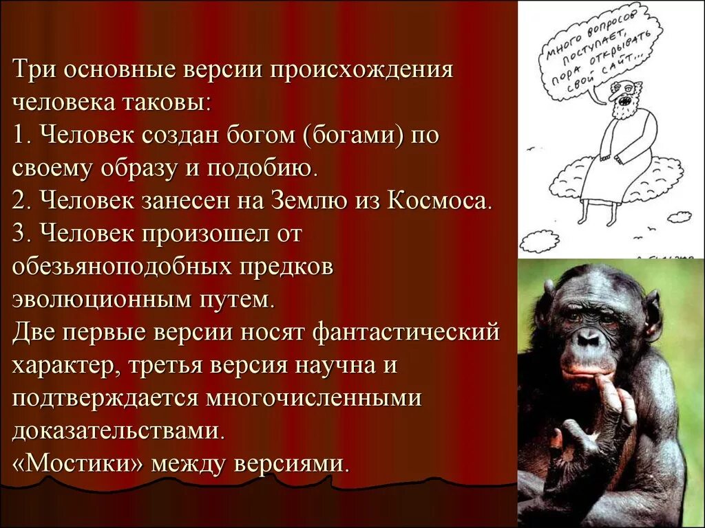 Как произошли люди на земле. Происхождение человека. Основные версии происхождения человека. Теории происхождения человека. Три версии происхождения человека.