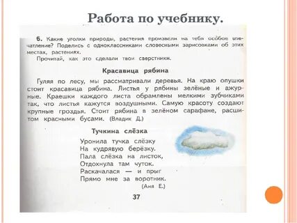 Описание любимого уголка природы 6 класс