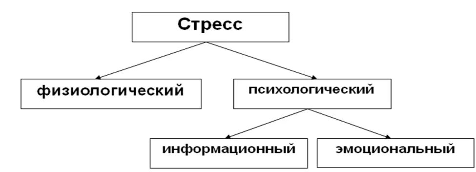 Физиологическое и психологическое