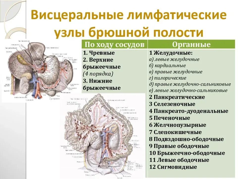 Лимфатические узлы в кишечнике. Брыжеечные лимфоузлы на кт. Мезентериальные лимфатические узлы на кт. Мезентериальные и брыжеечные лимфоузлы. Брыжеечные лимфатические узлы топография.