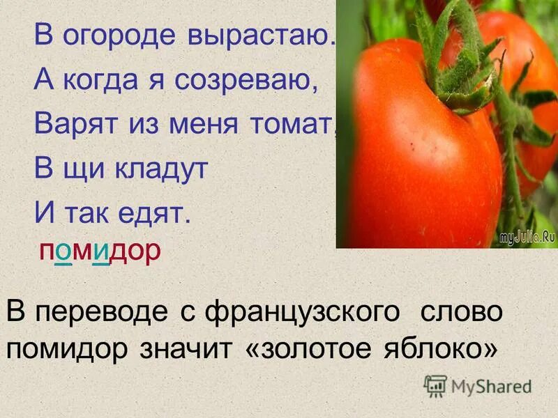 Какое окончание в слове помидор. Слово помидор. словарное слово помидор. происхождение слова помидор. словарное слово помидор в картинках.