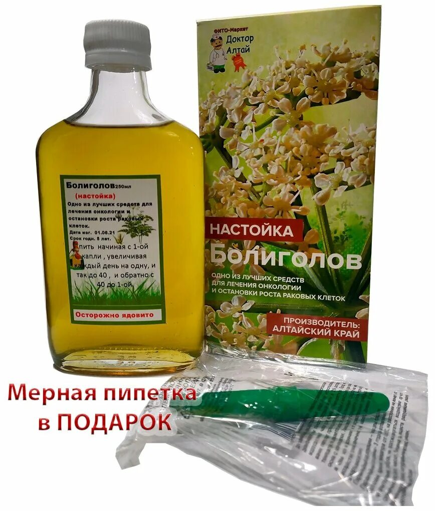 Трава болиголов в аптеке. Врач показывает. Морошка настойка горькая. Домашний доктор настойка горькая брусника. Доктор тайсс эхинацея.