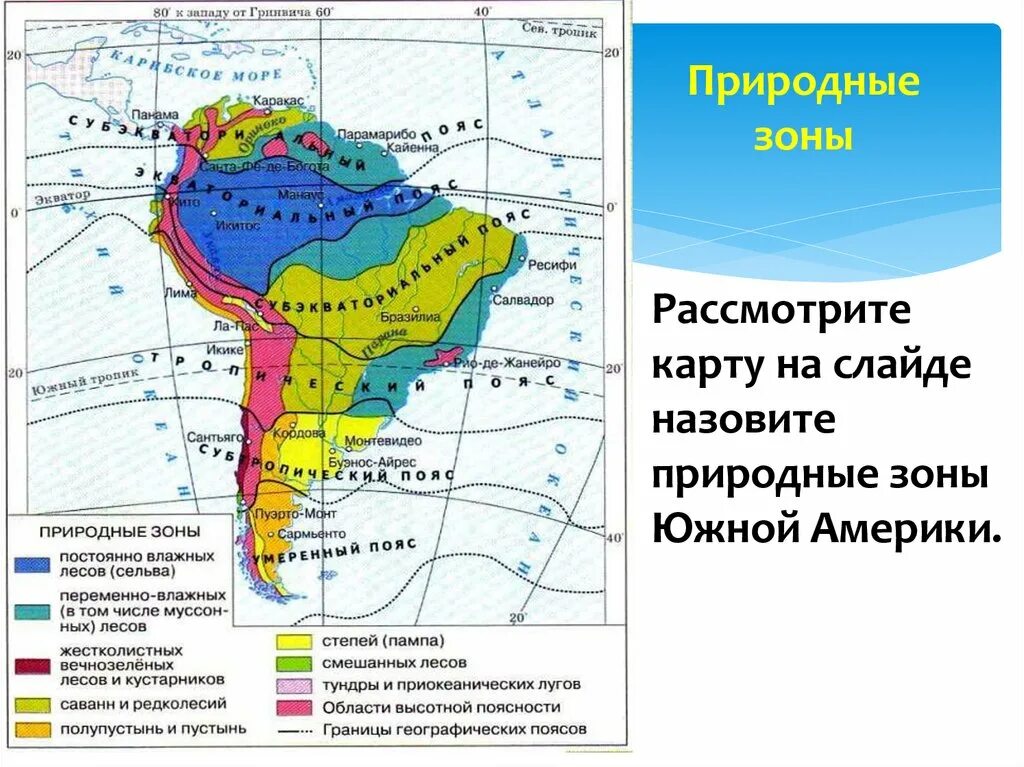 Таблица природные зоны Южной Америки таблица. Природные зоны Южной Америки таблица 7 класс география. Южная Америка рельеф в природных зонах таблица. Природные зоны Южной Америки растения животные 7 класс география. Перечислите природные зоны сша