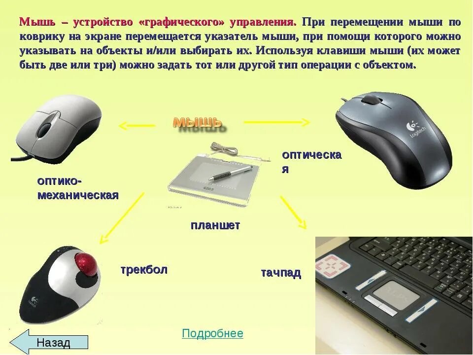 Почему мышь назвали мышью. Мышка для компьютера сверху и снизу. Типы компьютерных мышей. Устройство компьютерной мышки. Устройства компьютера мышь.