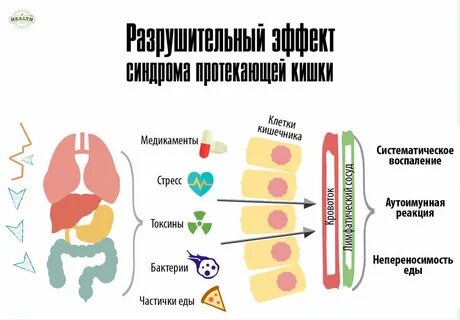 Улучшить всасывание кишечника