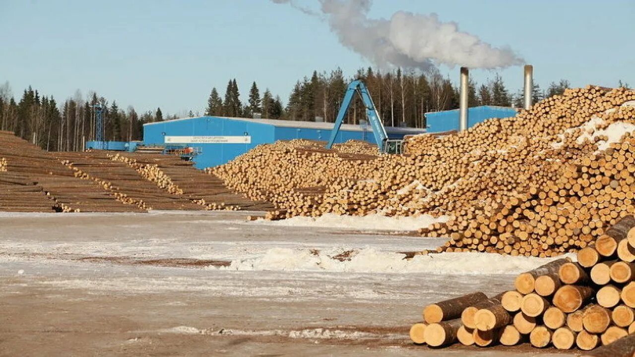 Производство архангельской области. Лесопромышленный комплекс России ( ЛПК). Лесопромышленный комплекс Архангельской области. Лесная промышленность Архангельской области. Устьянский район Архангельской области лесопереработка.