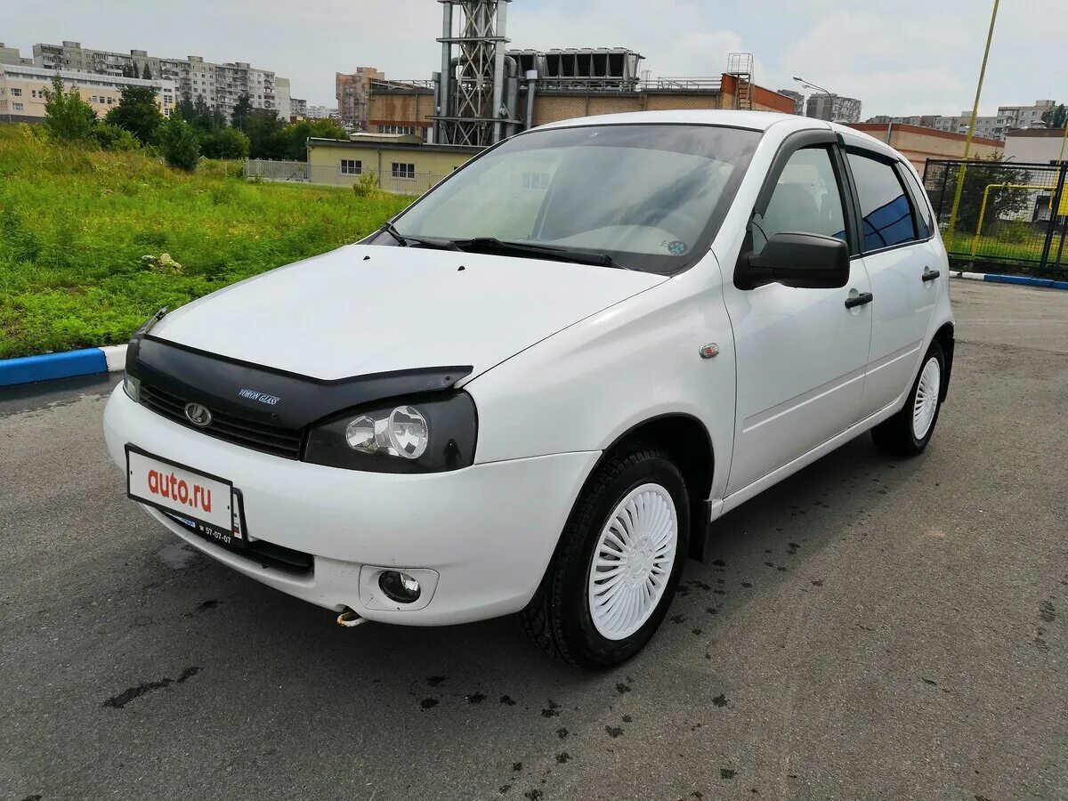 Белый калины цвет