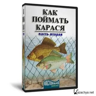 Карась африка песня