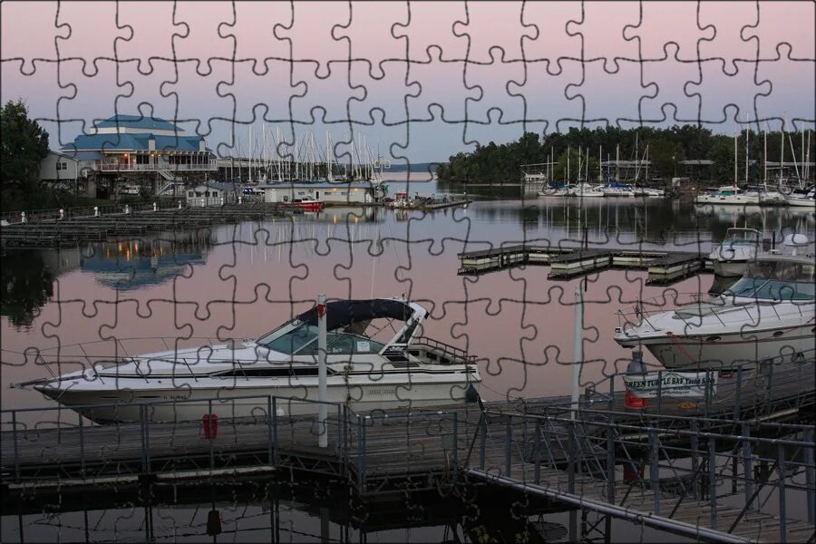 Dock port