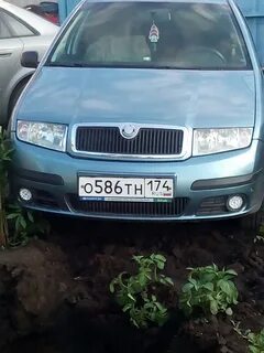 Шкода фабия туманки
