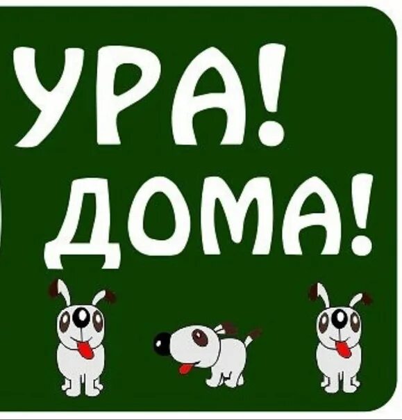 Открытки ура я дома. Надпись я дома. Наконец домой. Картинка ура дома. Танцующий кот.