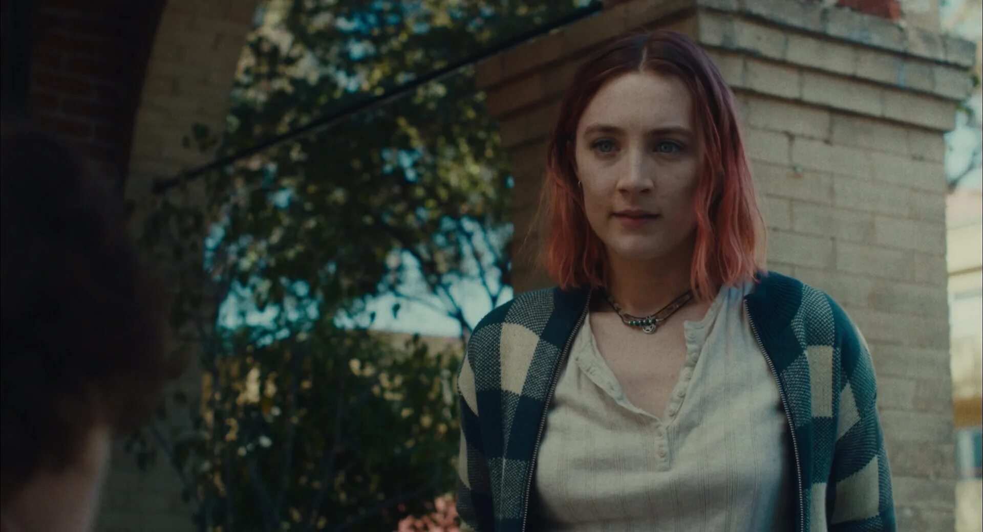 Кристин «леди бёрд» макферсон. Лукас хеджес леди берд. Фильм леди берд 2017. Сирша ронан леди берд. Сирша ронан с темными волосами.