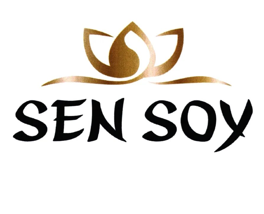 San sou. Sen soy logo. Логотип Sensoy. Соус логотип. Sensoy лапша.