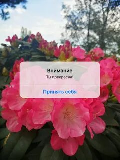 Принять прекрасно