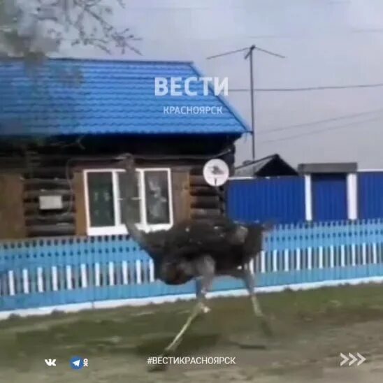 Белый яр ачинский. Белый яр ачинский район. белый яр ачинского памятник.