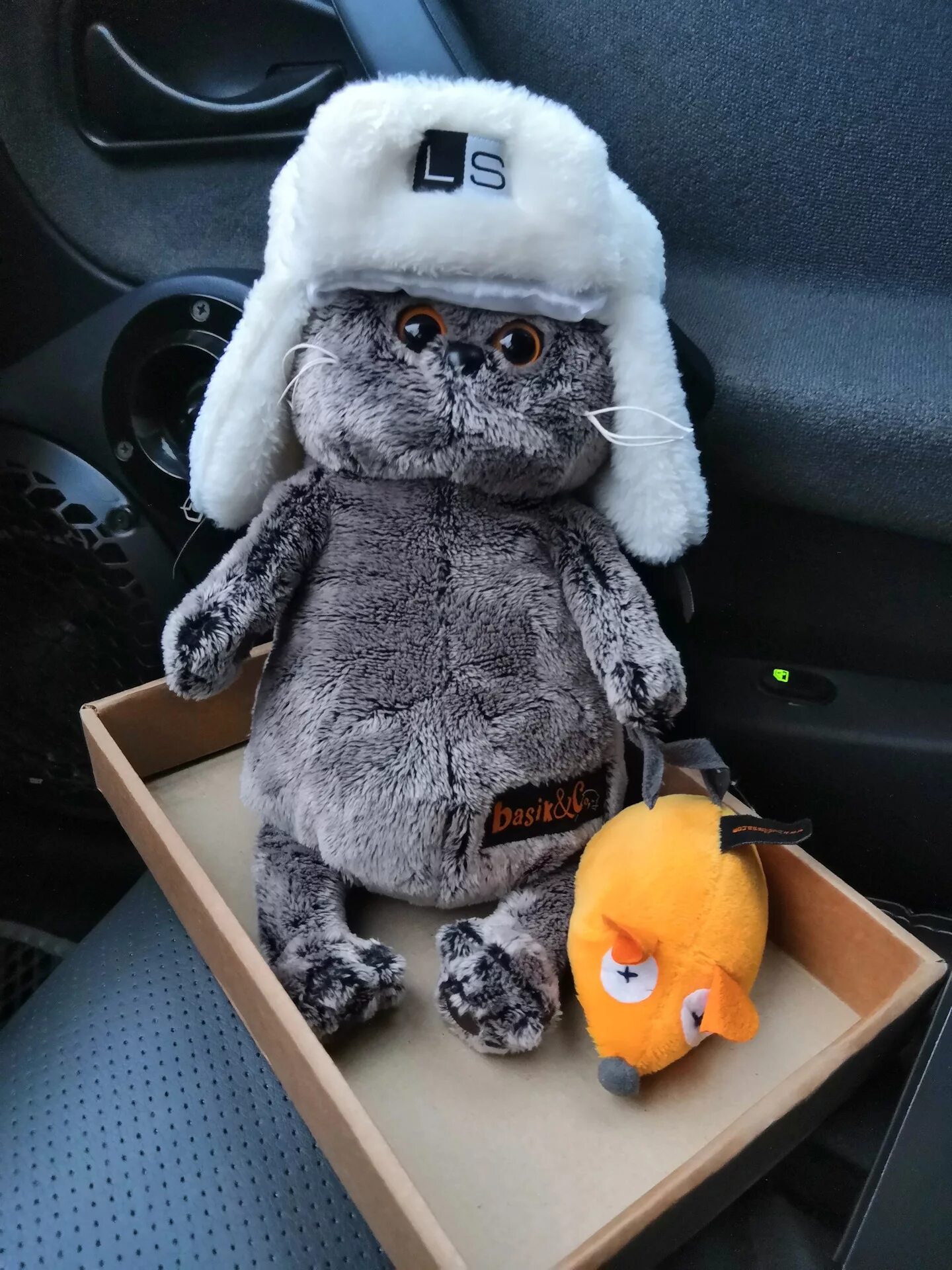 Кот басик loud sound. Кот басик loud sound. Loud sound басик ароматизатор. Кот басик лоуд саунд. Кот саунд.