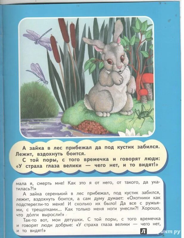 Кто напугал у страха глаза велики. У страха глаза велики сказка. У страха глаза велики. Русская народная сказка. У страхов глаза велики. У страха глаза велики книга.