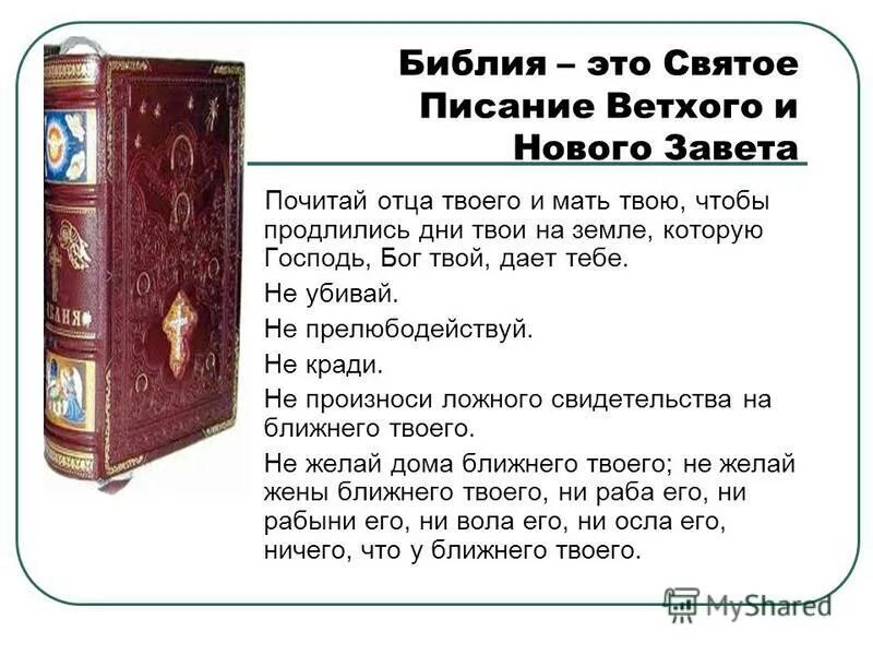 почитай про них