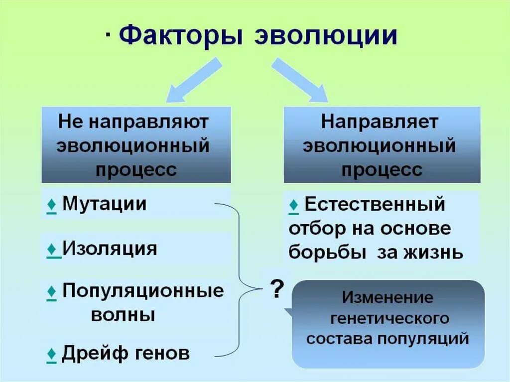 Почему мутации повышают эффективность действия естественного отбора