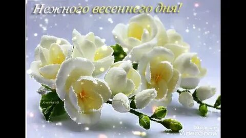 Песня ты моя хорошая на весну похожая